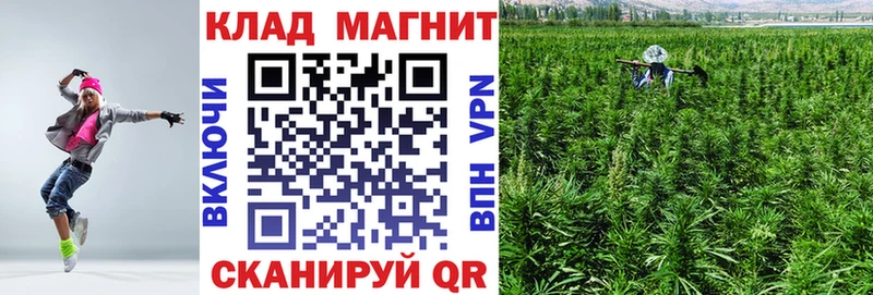 Виды наркоты Усть-Илимск Бошки Шишки  Галлюциногенные грибы  A-PVP  Амфетамин  Кокаин  Гашиш  Меф мяу мяу 