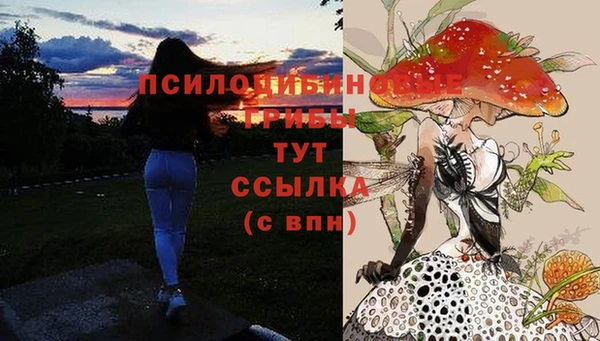 хмурый Няндома