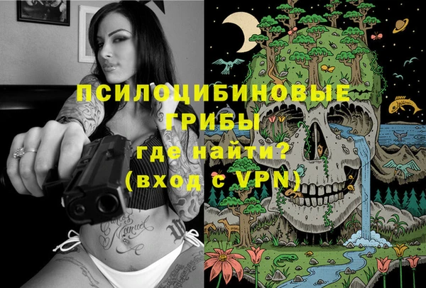 дживик Баксан